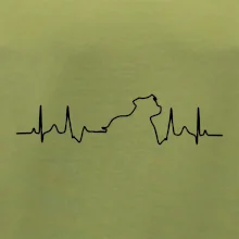 Stafordšírsky bulteriér ‎ EKG