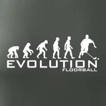Evolúcia Floorball