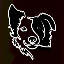 Border kólia obrys hlavy