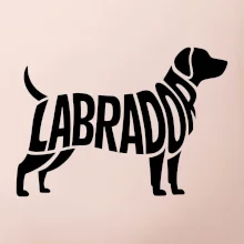 Labrador nápis v tele