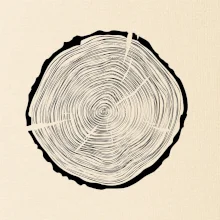 Letokruhy 55 bez veku