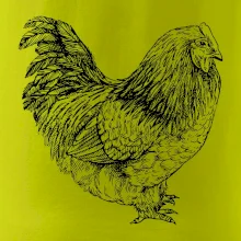 Sliepka čiernobiela