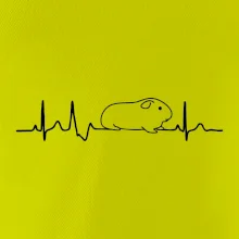 EKG morča EKG morča