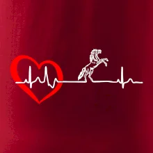 Moje srdce bije pre kone