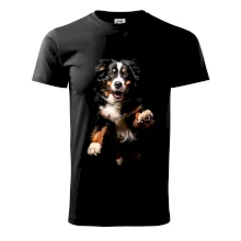 Bernský salašnícky pes skakajúci čierna fotka Bernský salašnícky pes skakajúci čierna fotka