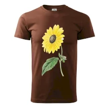 Slnečnica otočená