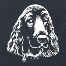 Kokeršpaniel - hlava kreslená