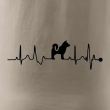 Shiba-Inu EKG Shiba-Inu EKG