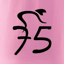 Cyklista oslavuje sedemdesiatpäťpäťky (75)