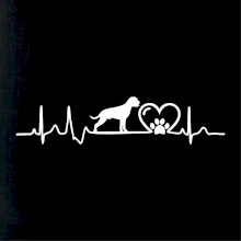 Nemecký boxer EKG Nemecký boxer EKG