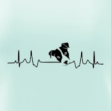 Jack Russell Terriér - hlava