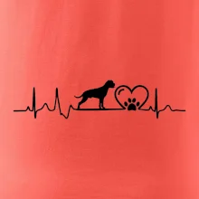 Nemecký boxer EKG Nemecký boxer EKG