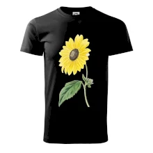 Slnečnica otočená