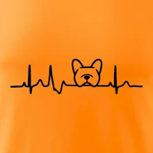 EKG Francúzsky buldoček hlava