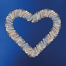 Srdce z kníh Srdce z kníh