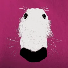 Barzoj čumák (Moňas)