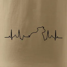 Stafordšírsky bulteriér ‎ EKG