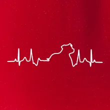 Stafordšírsky bulteriér ‎ EKG