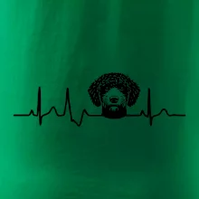 Lagotto romagnolo hlava EKG Lagotto romagnolo hlava EKG