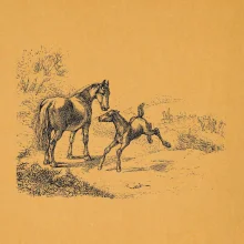 Kôň a žriebä maľované