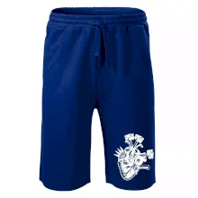 Vodičovo srdce Vodičovo srdce