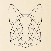 Nemecký ovčiak - Geometria