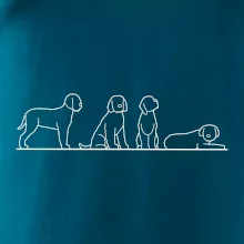 Lagotto romagnolo postavy linka