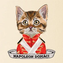 Napoleon domáci mačka