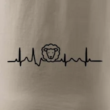Ekg ovce