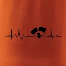 Jack Russell Teriér hrubosrstý Ekg