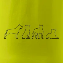 Americký stafordšírsky teriér v rôznych pozíciách