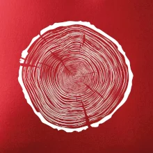 Letokruhy 85 bez veku