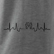 Shih-tzu ekg hlava Shih-tzu ekg hlava