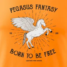 Pegasus fantasy