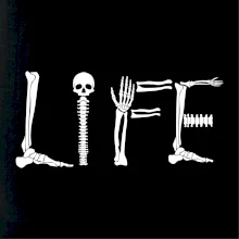 Radiology Life Radiology Life