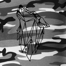 Geometria - vlk - vyjúci