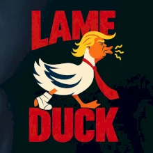 Donald Trump minimalistická kachna