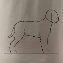 Lagotto romagnolo stojaci