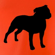 Americký stafordšírsky teriér Na prsníku