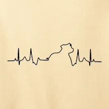 Stafordšírsky bulteriér ‎ EKG