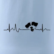 Jack Russell Teriér hrubosrstý Ekg