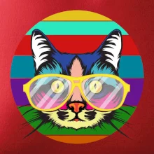 Mačka pri farebnom západe