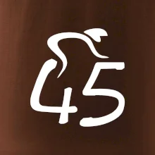 Cyklista oslavuje štyridsaťpäťku (45)