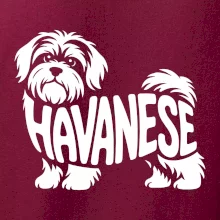 Havanese nápis v tele