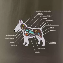 Tajomstvo bulteriéra s popisom (Pecka Design)