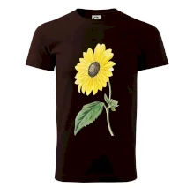 Slnečnica otočená