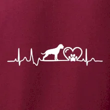 Nemecký boxer EKG Nemecký boxer EKG