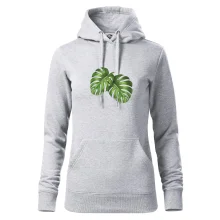 Monstera - dva listy Monstera - dva listy