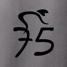 Cyklista oslavuje sedemdesiatpäťpäťky (75)