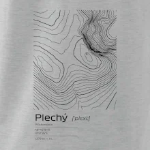 Plechý - vrstevnice v obdĺžniku